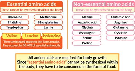 branched chain amino acids side effects|BCAA Benefits: A Review of Branched.